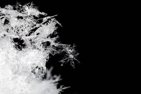 fragile snow crystals in the snow on a black backgroundの写真素材