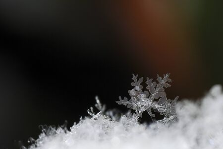 individually snow crystals big view in winter and snowの写真素材