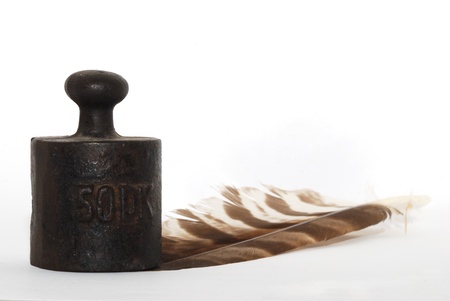 iron weight is placed on a bird feather weight large view