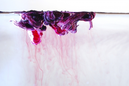 purple tea leaves in water at the surfaceの写真素材