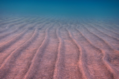 many ripples in the sand under water in the sea when divingの写真素材