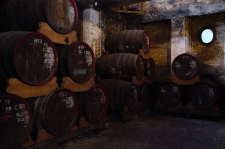 many old barrels with wine in an old cellar in franceのeditorial素材