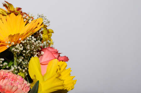 colorful smelling bouquet leftの写真素材