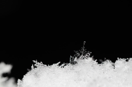 beautiful snow crystal in fresh snow with black backgroundの写真素材