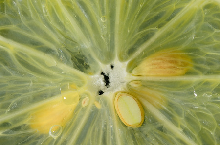 fresh lemon with flesh and seeds in detail viewの写真素材