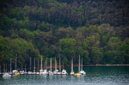 many sailboats in a bay on the seaの写真素材