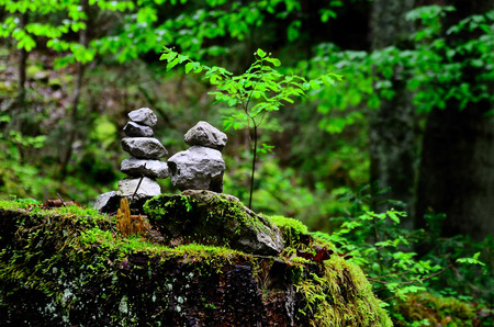 stones stacked in green forestの写真素材
