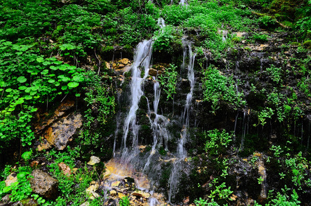 delicate waterfall in green forest