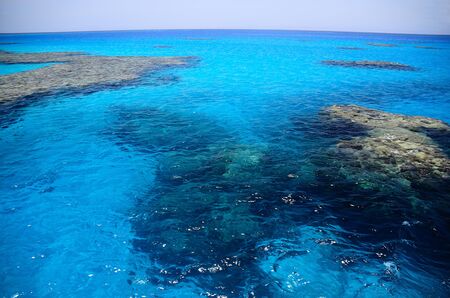 Beautiful colorful coral reef in the Red Sea and natural reserveの写真素材