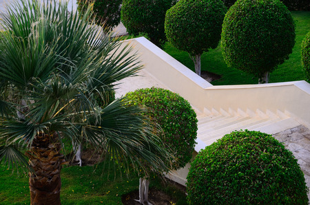 white stairs with green cultivated garden in Egyptの写真素材