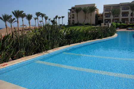 blue pool and many birds of paradise in Egypt