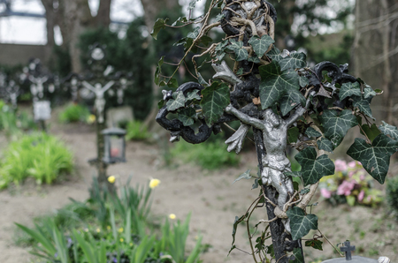 verwachsenes kreuz auf einem alten friedhof