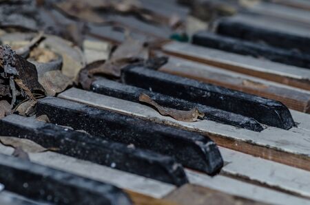 old piano keys with leavesの写真素材