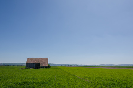 old barn wood and green fieldの写真素材