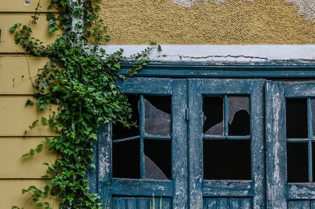 old house with overgrown gate