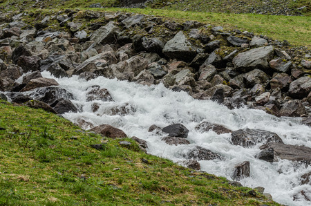wild water with rocks in green natureの写真素材