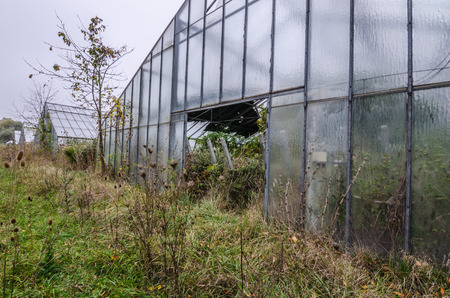 abandoned market garden in nature outdoor viewの写真素材