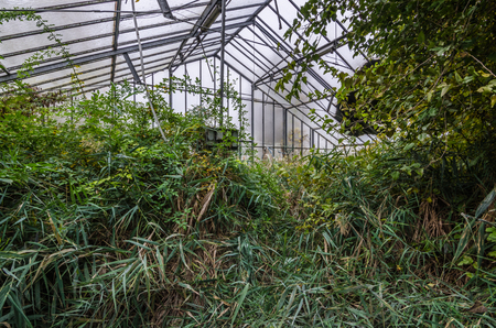 abandoned old market garden with lots of natureの写真素材