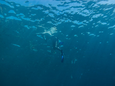 woman with blue fins in the sea while snorkeling