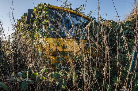 overgrown unimog car among many plantsの写真素材