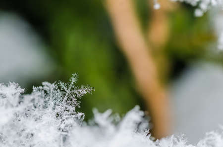 beautiful delicate snow crystal in natureの写真素材
