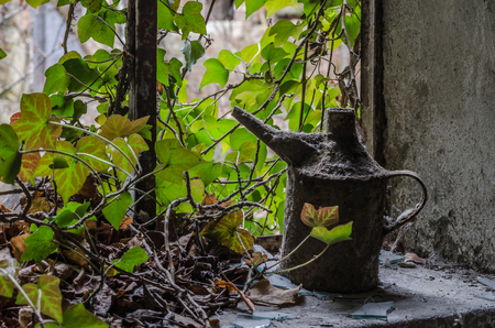 oil bottle on window in old factoryの写真素材