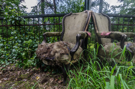 old armchair with reflection in a villaの写真素材