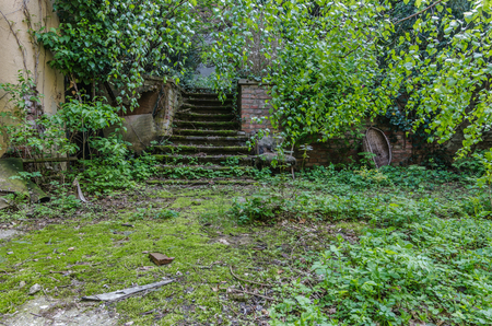 overgrown entrance in an old villaの写真素材