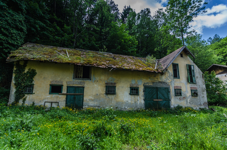 abandoned old house in the forest with mossの写真素材