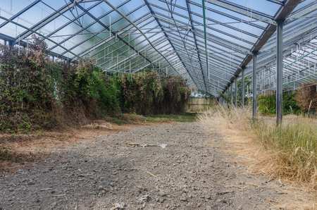 abandoned big old gardening in natureの写真素材