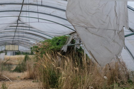 Torn plastic in abandoned gardeningの写真素材