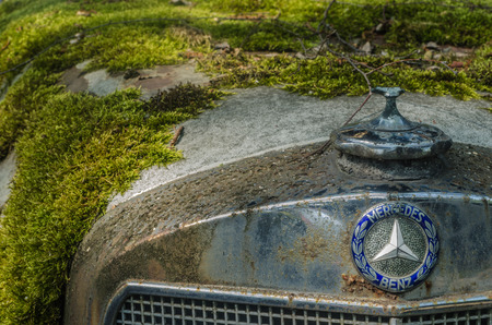 Moss on mercedes benz at a car cemeteryのeditorial素材
