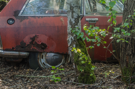 Old red car and trees on a car cemeteryの写真素材