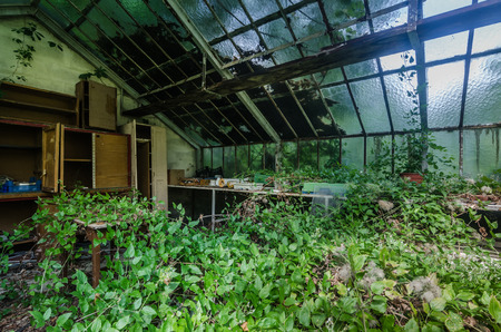 overgrown glasshouse detail viewの写真素材