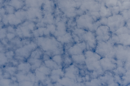 delicate fleecy clouds in the summer