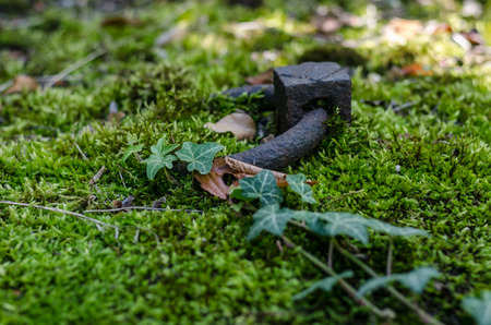 rusty attachment ring at a grave with moss