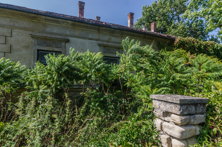 decayed garden and empty buildingの写真素材
