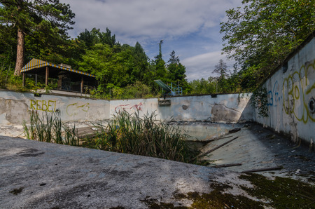 empty old swimming pool with reedの写真素材