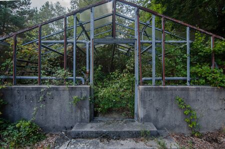 abandoned glasshouse in natureの写真素材