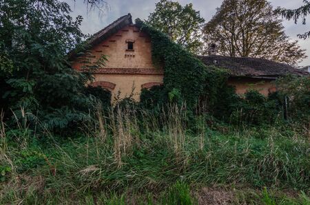 old overgrown farmhouse in the woodsの写真素材