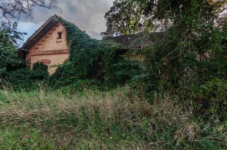 overgrown farmhouse in a forestの写真素材