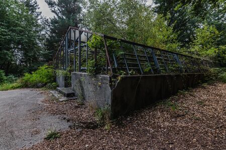 abandoned glass house in nature with forestの写真素材