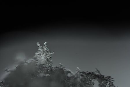 snow crystals with gray background in winter