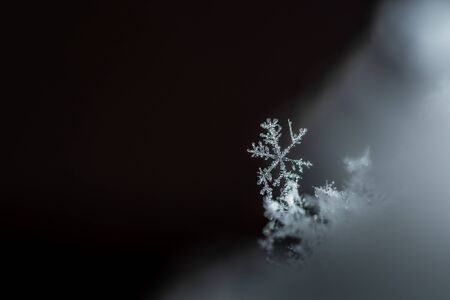 unequally snow crystal and black backgroundの写真素材