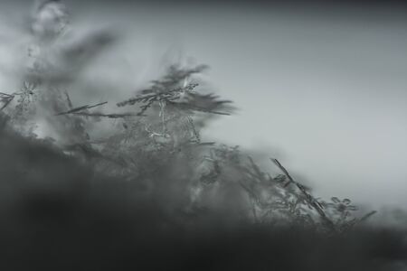 Mixed snow crystals on gray background
