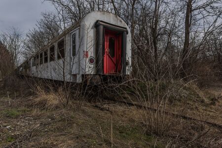 old overgrown wagon in the forestの写真素材