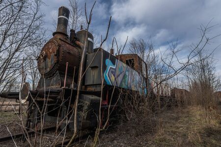 old steam locomotive with colorful graffiti in nature