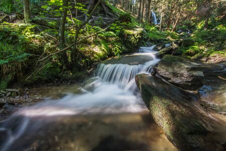 beautiful flowing brook in the forest while hiking in the forestの写真素材