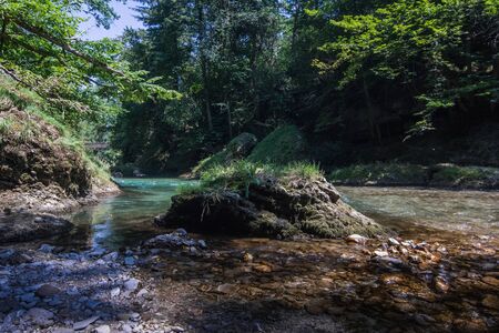 Island in a brook in the woods in summer while hikingの写真素材