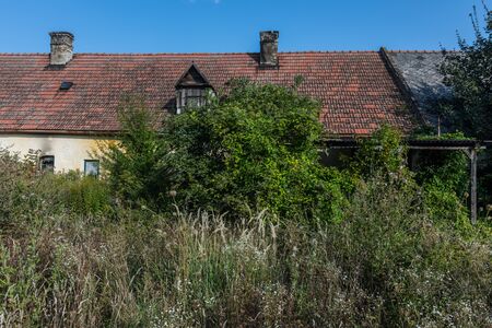 abandoned row houses in nature with lots of tall plantsの写真素材